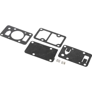 Fuel pump set  394462 Briggs & Stratton