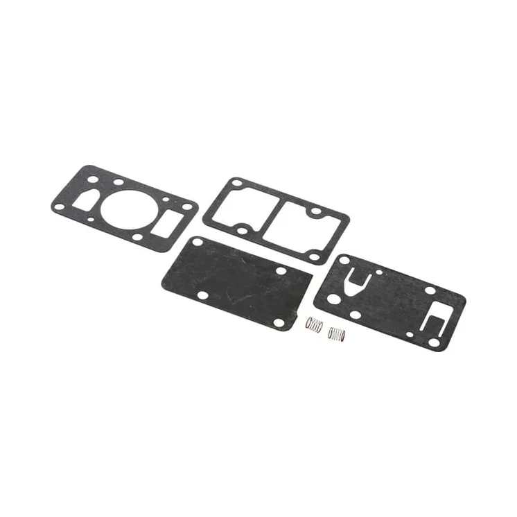 Fuel pump set  394462 Briggs & Stratton