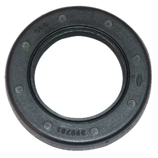 Eļļas blīvējums 399781S Briggs & Stratton