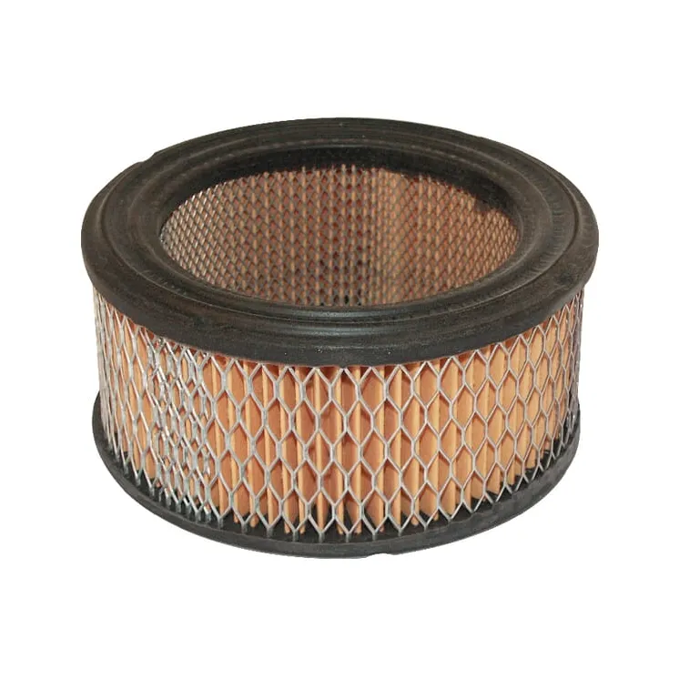 Air filter  392286 Briggs & Stratton