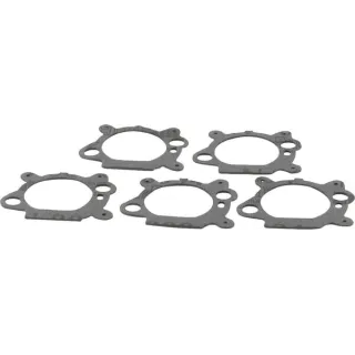 Satur 5 x 795629 blīves 4156 Briggs & Stratton