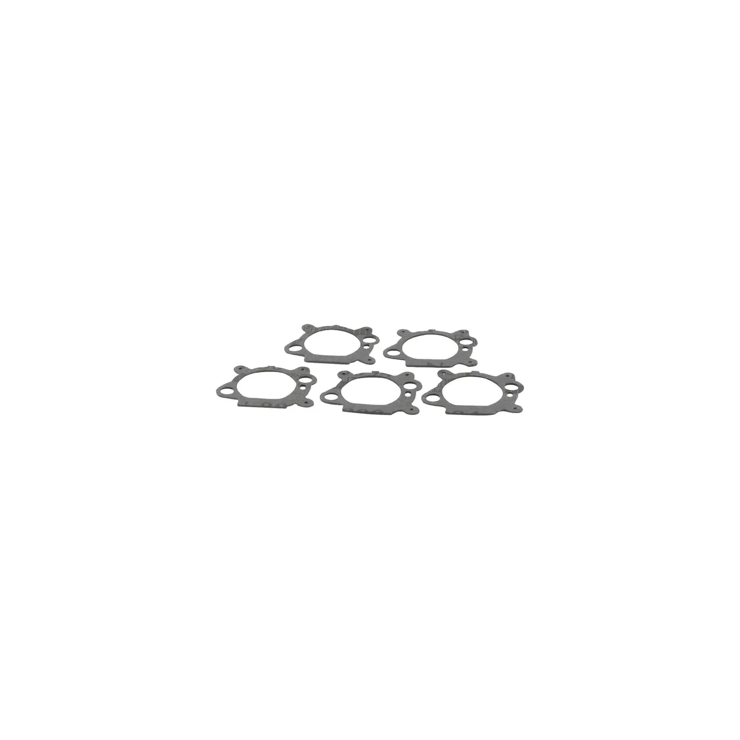 Contains 5 x 795629 Gaskets  4156 Briggs & Stratton