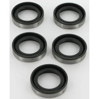 Eļļas blīves 5 x 391483S 4118 Briggs & Stratton