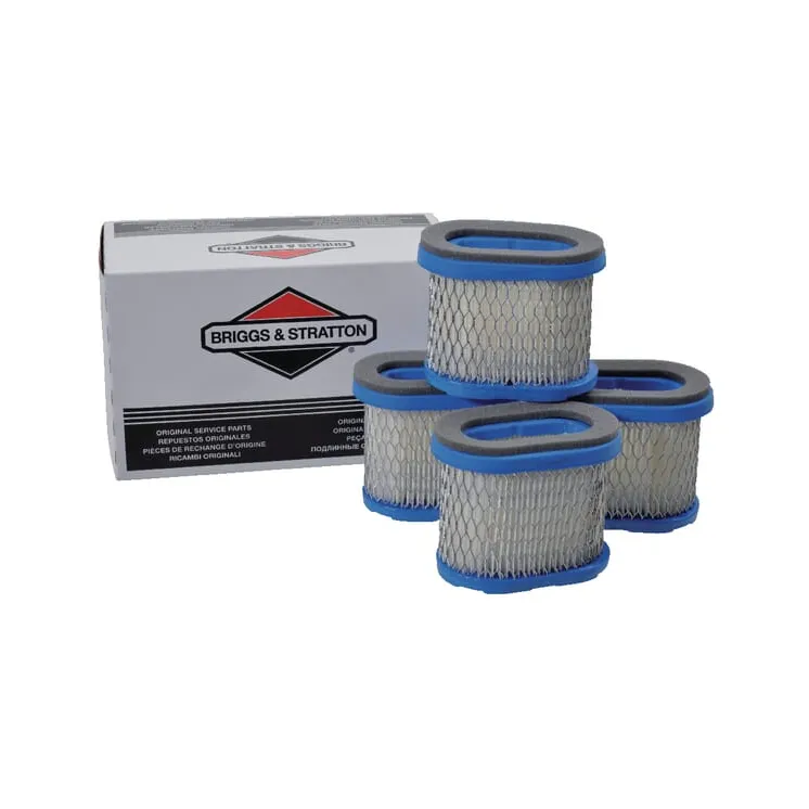 Air filter 4 x 697029  4207WM Briggs & Stratton