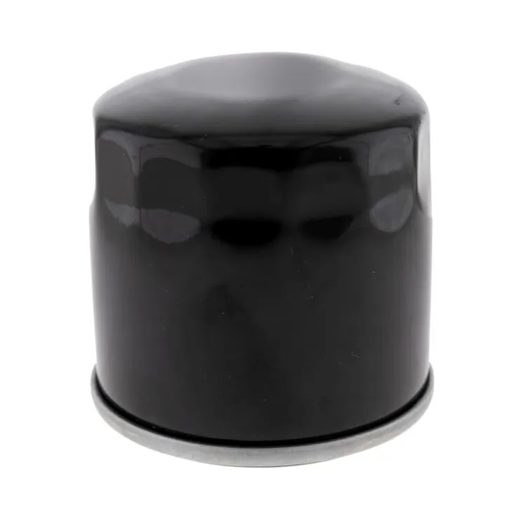 Secondary oil filter   418138 AL-KO