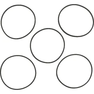 Gaskets 5 x 281165S  4202WM Briggs & Stratton