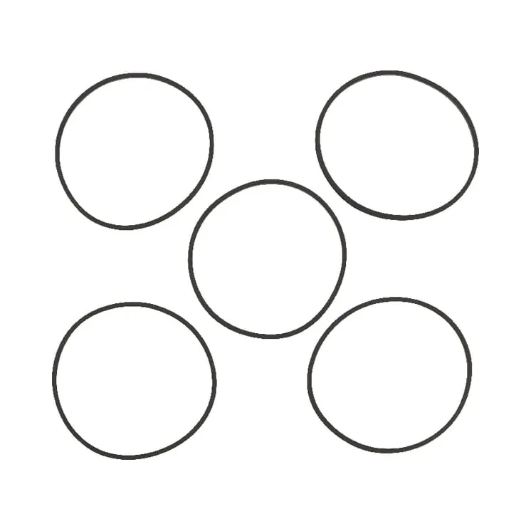 Gaskets 5 x 281165S  4202WM Briggs & Stratton