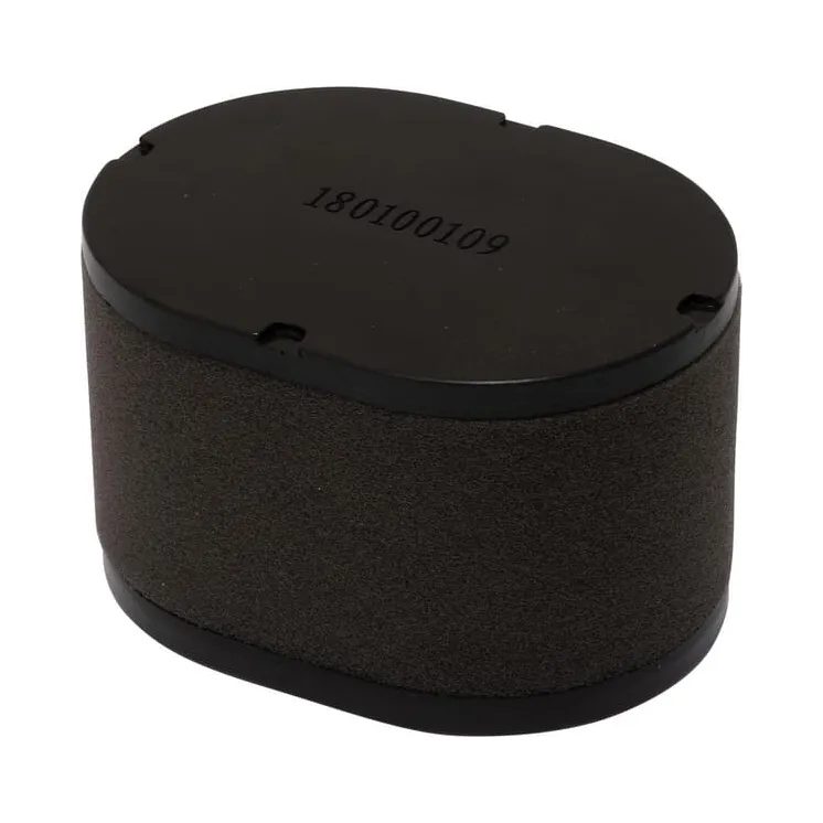 Gaisa filtrs 418110 AL-KO