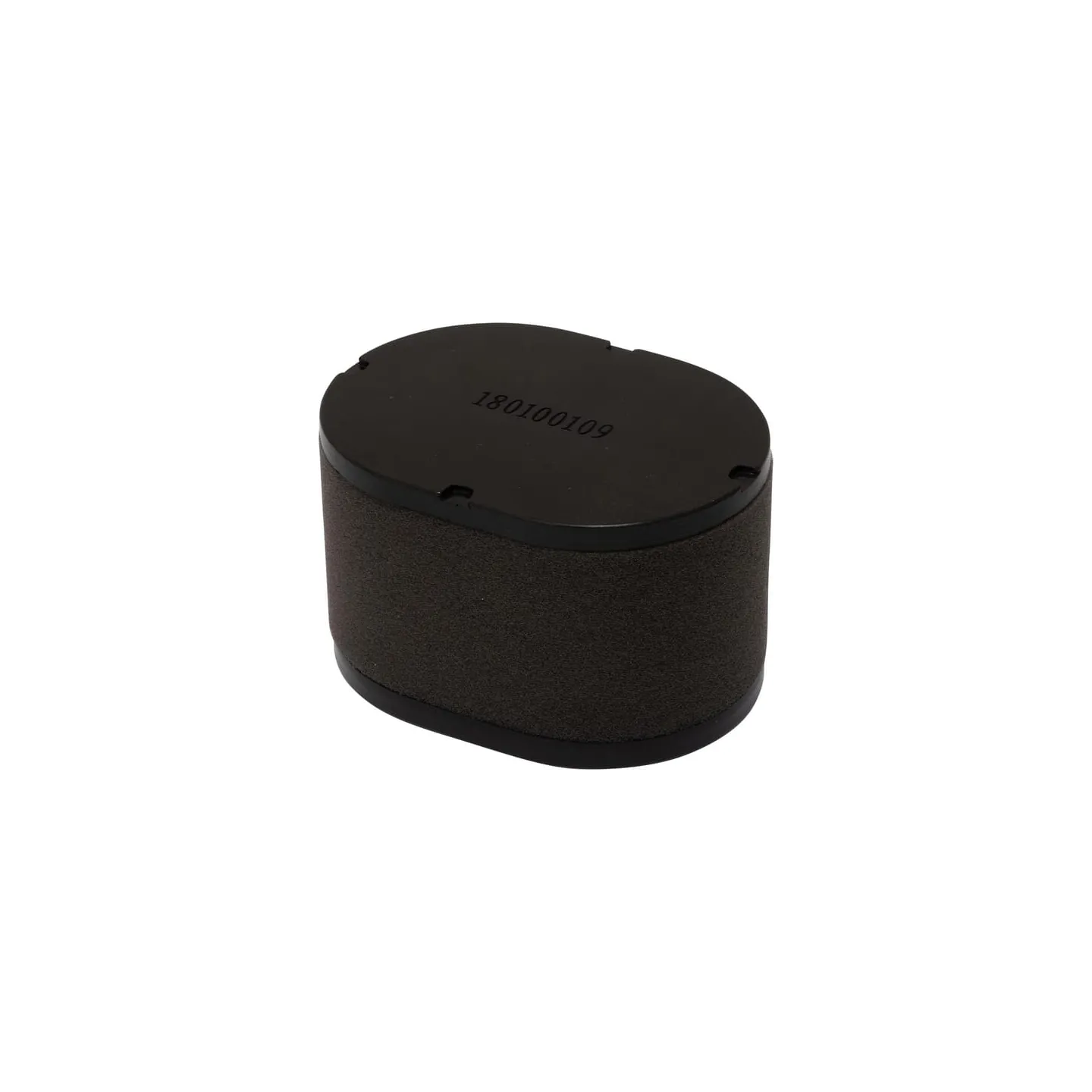 Air filter    418110 AL-KO