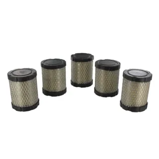Filtru lielapjoma pakotne (5x 591583) 4269 Briggs & Stratton 4242