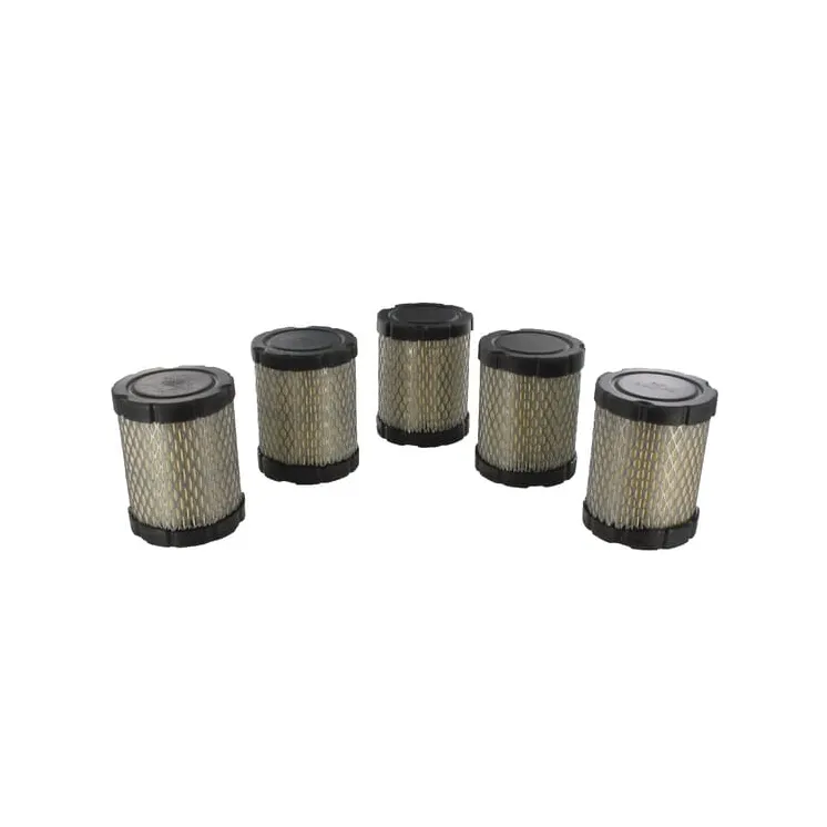 Filter bulk pack (5x 591583)  4269 Briggs & Stratton 4242
