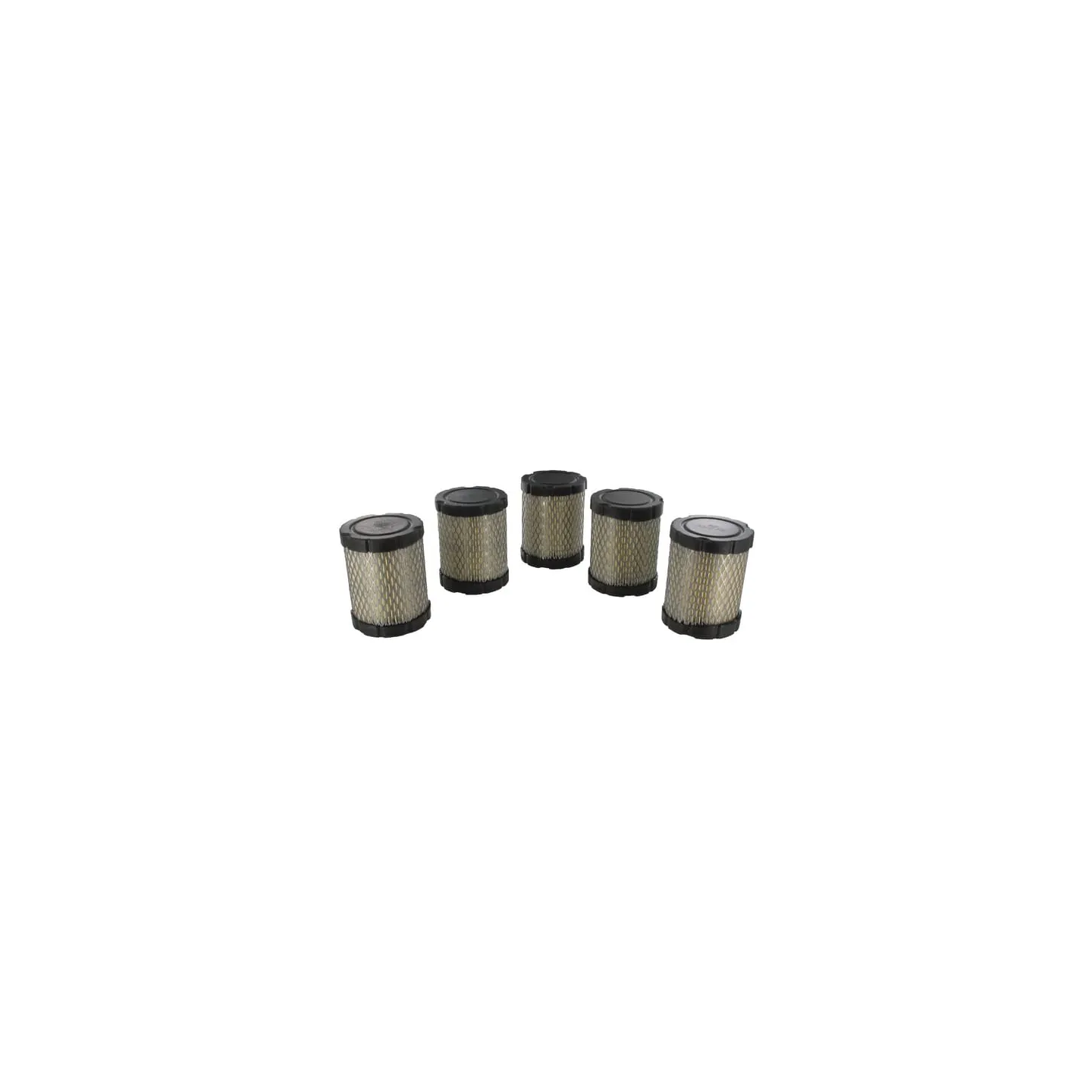 Filter bulk pack (5x 591583)  4269 Briggs & Stratton 4242