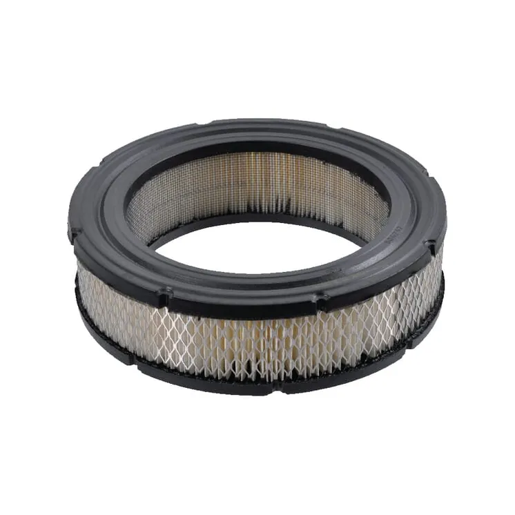 Filtra lielapjoma iepakojums 5 x 692519 4232 Briggs & Stratton