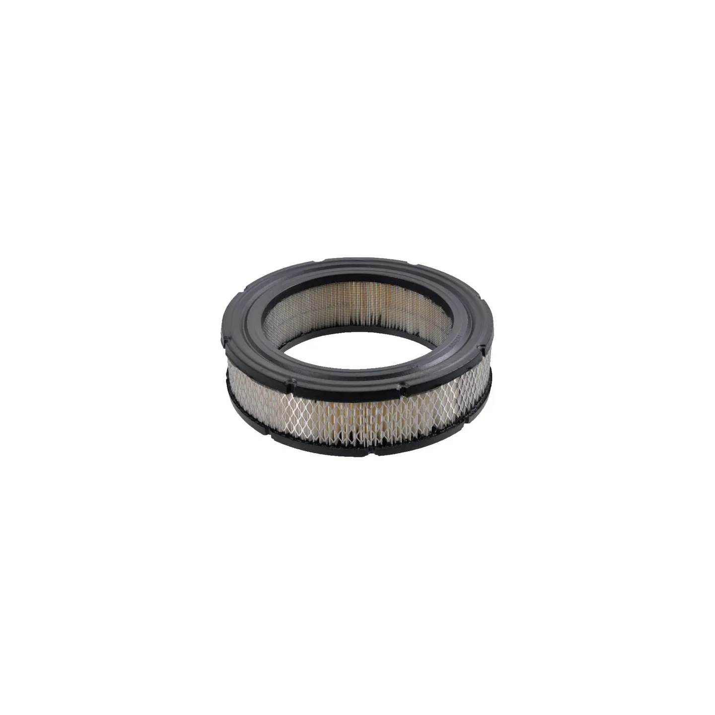 Filtra lielapjoma iepakojums 5 x 692519 4232 Briggs & Stratton