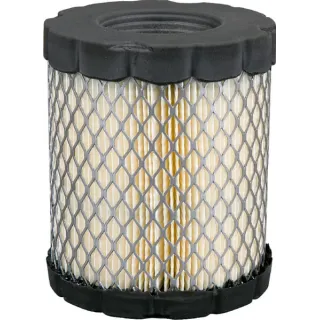 Lielapjoma filtrs (5x 798897) 4250 Briggs & Stratton