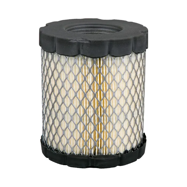 Lielapjoma filtrs (5x 798897) 4250 Briggs & Stratton
