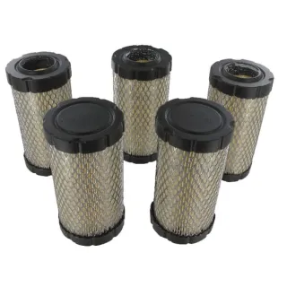 Filtra lielapjoma iepakojums 5 x 793569 4241 Briggs & Stratton
