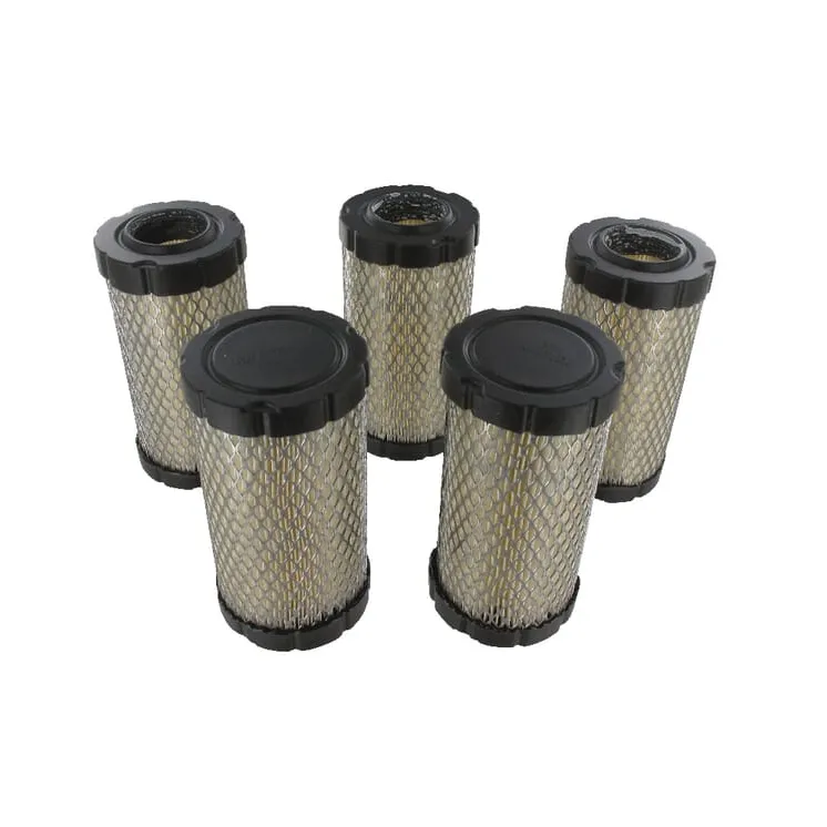 Filtra lielapjoma iepakojums 5 x 793569 4241 Briggs & Stratton