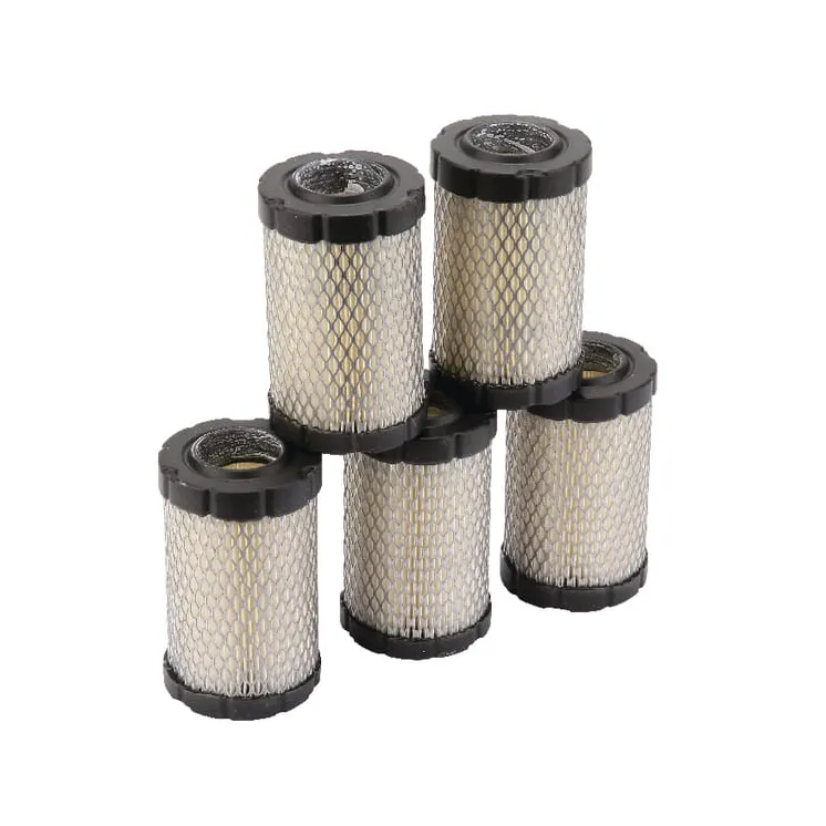 Filtra lielapjoma iepakojums 5 x 594201 4243 Briggs & Stratton