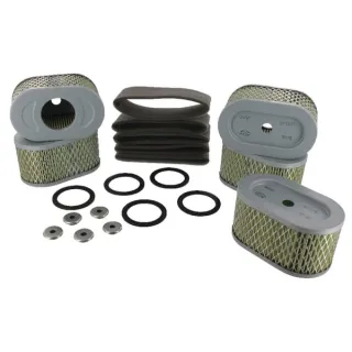 Gaisa filtrs 5 x 797033 4239 Briggs & Stratton