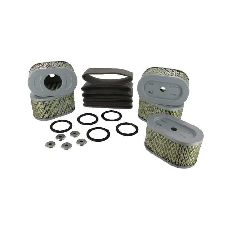 Air filter 5 x 797033  4239 Briggs & Stratton