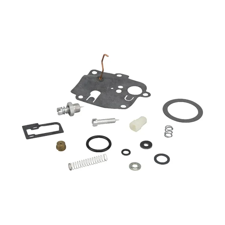 Carburettor repair kit  494623 Briggs & Stratton 49135R FGP010542