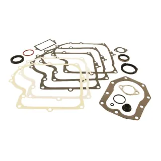 Blīvju komplekts 494241 Briggs & Stratton
