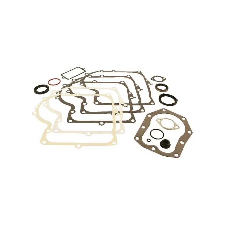Blīvju komplekts 494241 Briggs & Stratton
