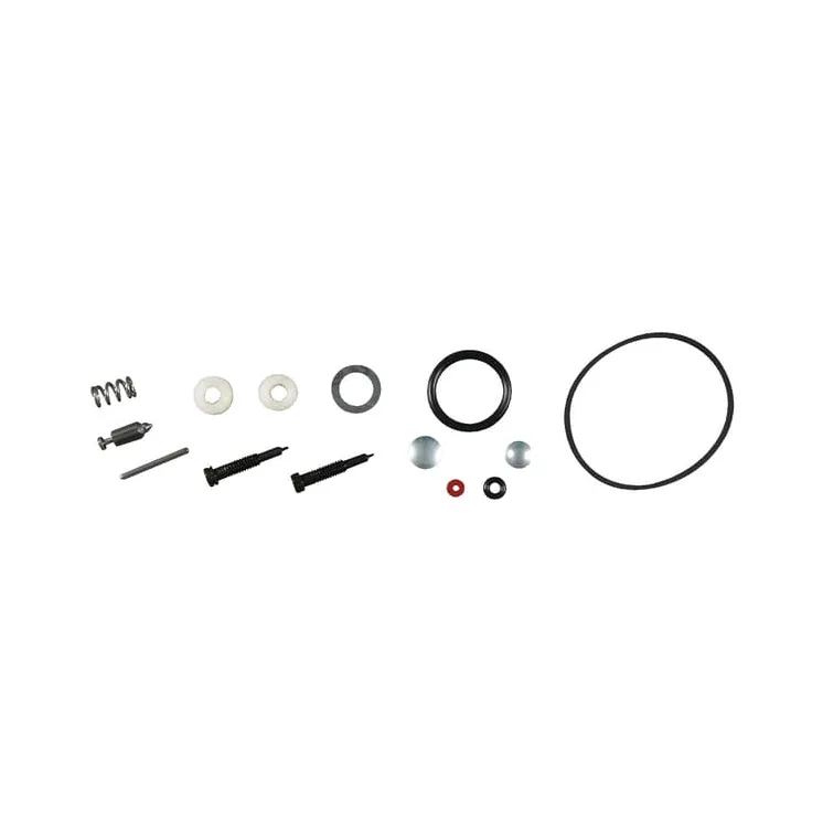 Karburatora remonta komplekts 494349 Briggs & Stratton