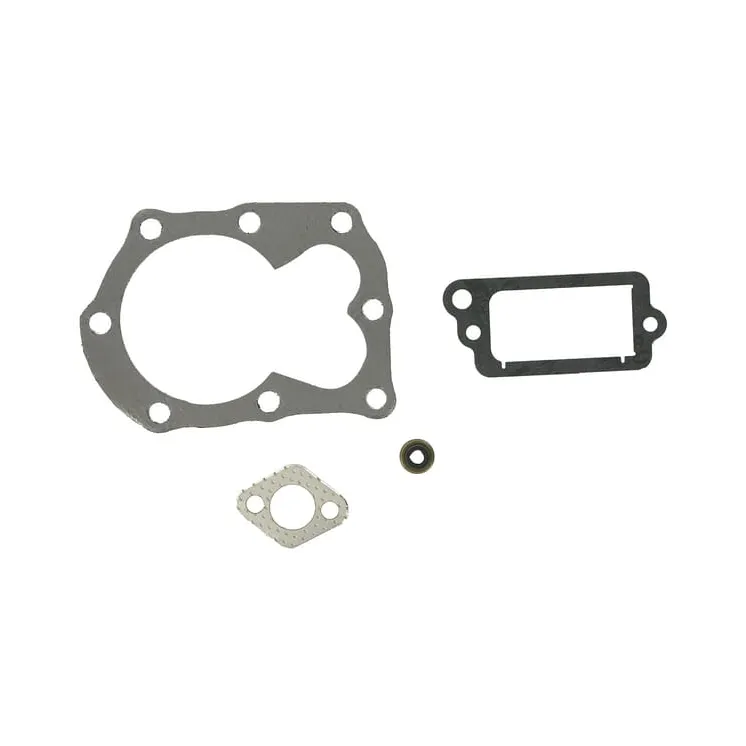 Gasket set OVHL  498526 Briggs & Stratton