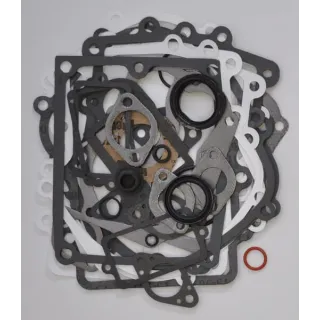Gasket set  495868 Briggs & Stratton
