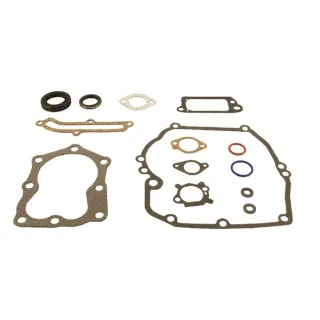Blīvju komplekts 496117 Briggs & Stratton