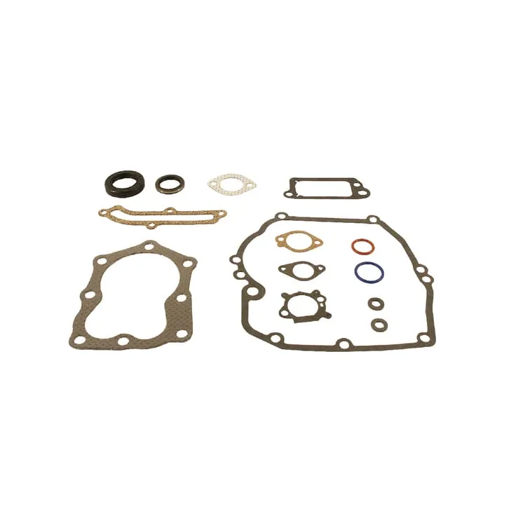 Blīvju komplekts 496117 Briggs & Stratton