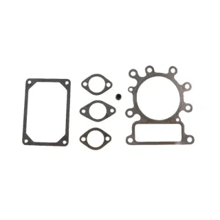 Valve gasket set  495992 Briggs & Stratton