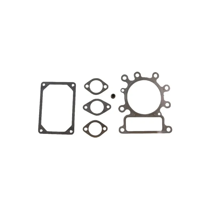 Valve gasket set  495992 Briggs & Stratton