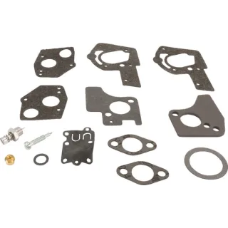 Carburettor repair kit  495606 Briggs & Stratton 49078R 49101R FGP010511