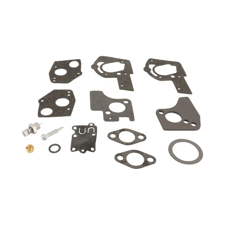 Carburettor repair kit  495606 Briggs & Stratton 49078R 49101R FGP010511