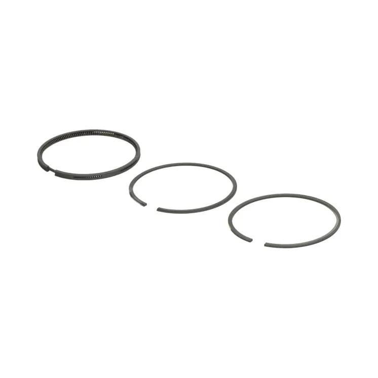 Piston ring set standard  493261 Briggs & Stratton 36026R FGP004155
