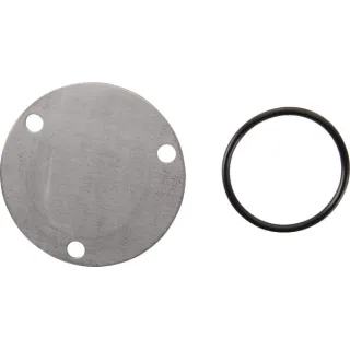 Oil pump cover  499613 Briggs & Stratton