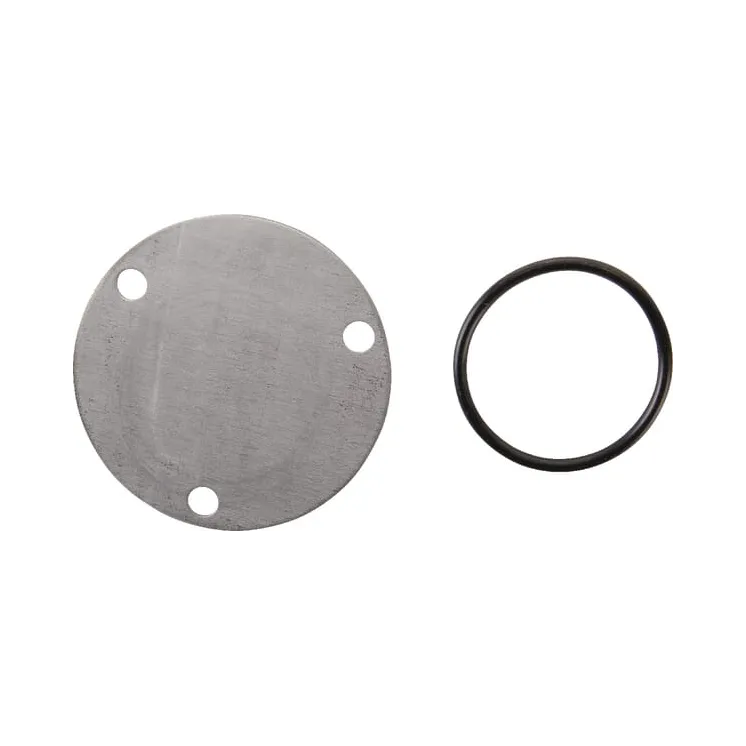 Oil pump cover  499613 Briggs & Stratton