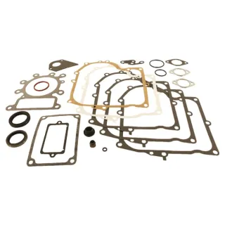 Gasket set  495993 Briggs & Stratton