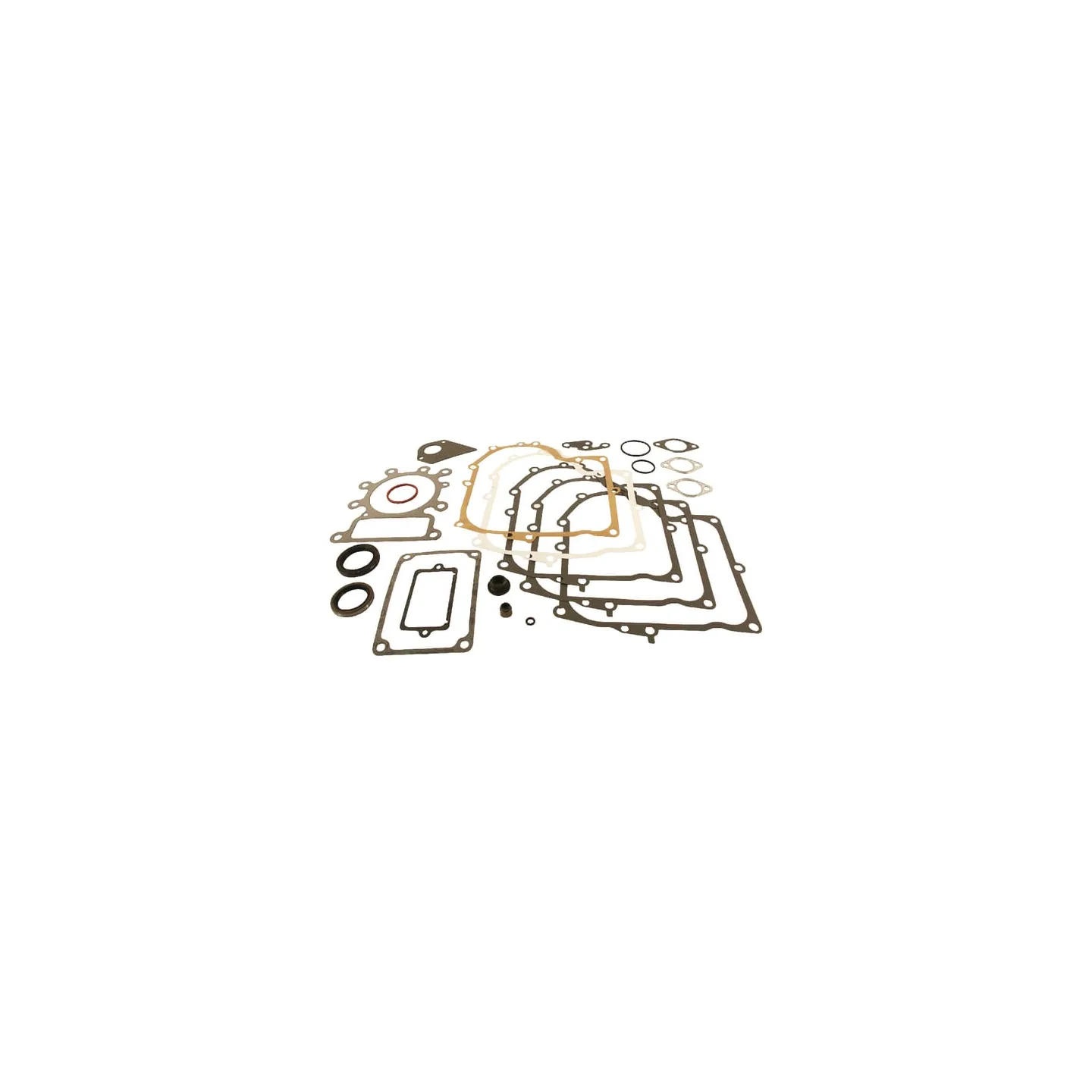 Gasket set  495993 Briggs & Stratton