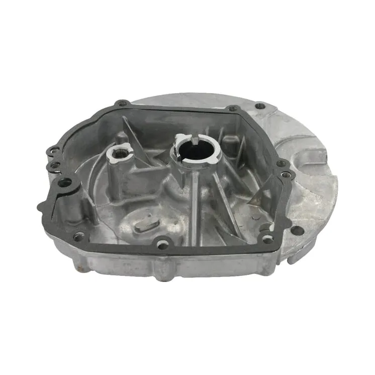 Kartera vāks 493279 Briggs & Stratton