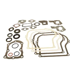 Gasket set  495603 Briggs & Stratton