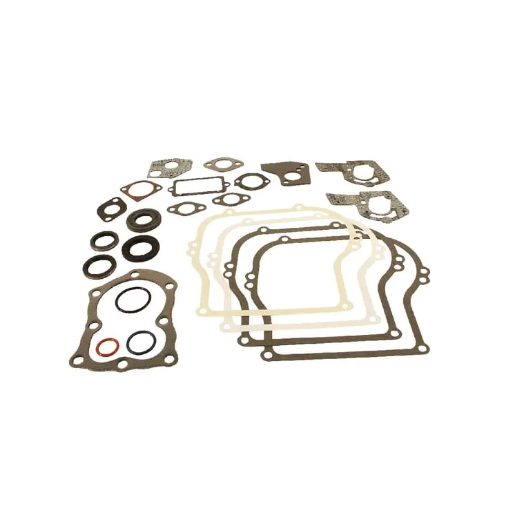 Gasket set  495603 Briggs & Stratton