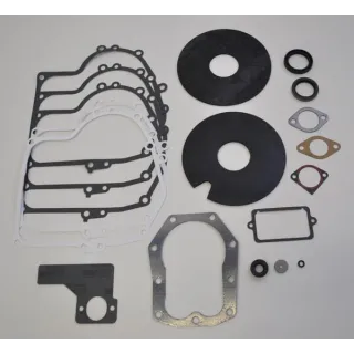 Gasket set 391834  492653 Briggs & Stratton
