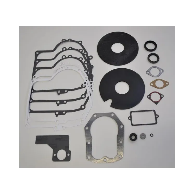 Gasket set 391834  492653 Briggs & Stratton