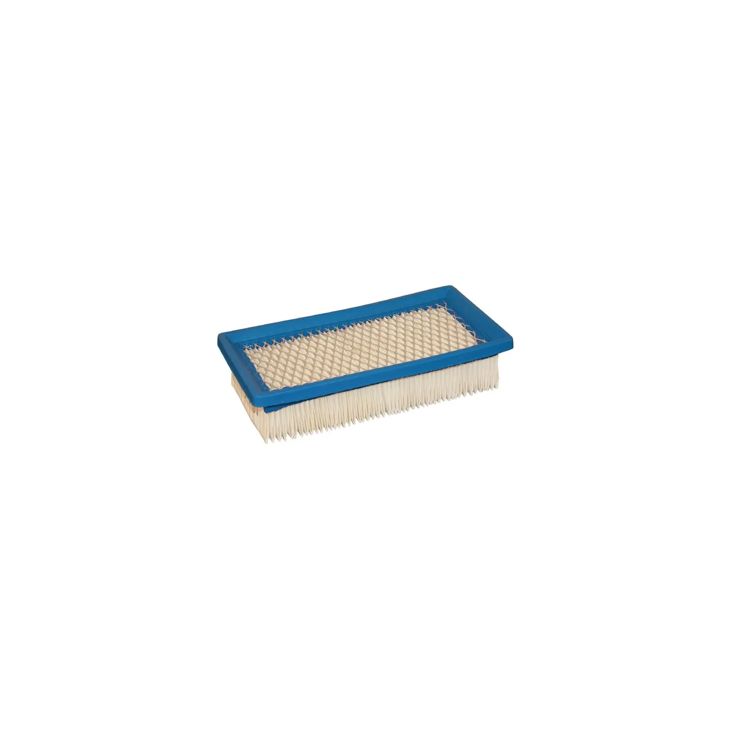 Air filter  491384 Briggs & Stratton 30731R FGP004860
