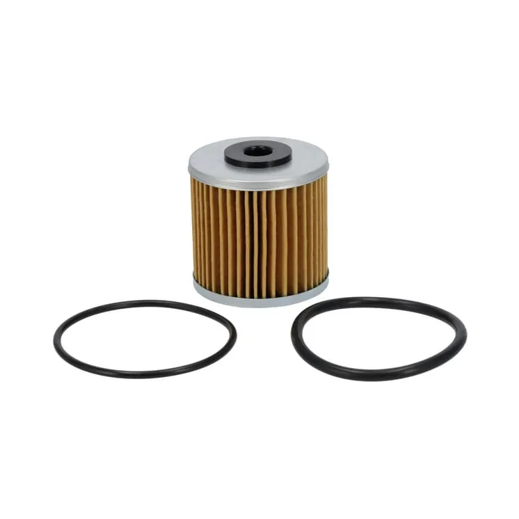 Filtru komplekts 5104385X1YP Briggs & Stratton