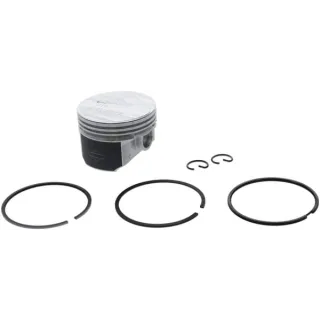 Piston assembly-010  557122 Briggs & Stratton